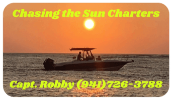 Chasing the Sun Charters logo